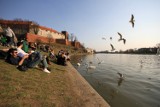 Piknik Miejski Nad rzekę! [program, za darmo] Kraków na weekend