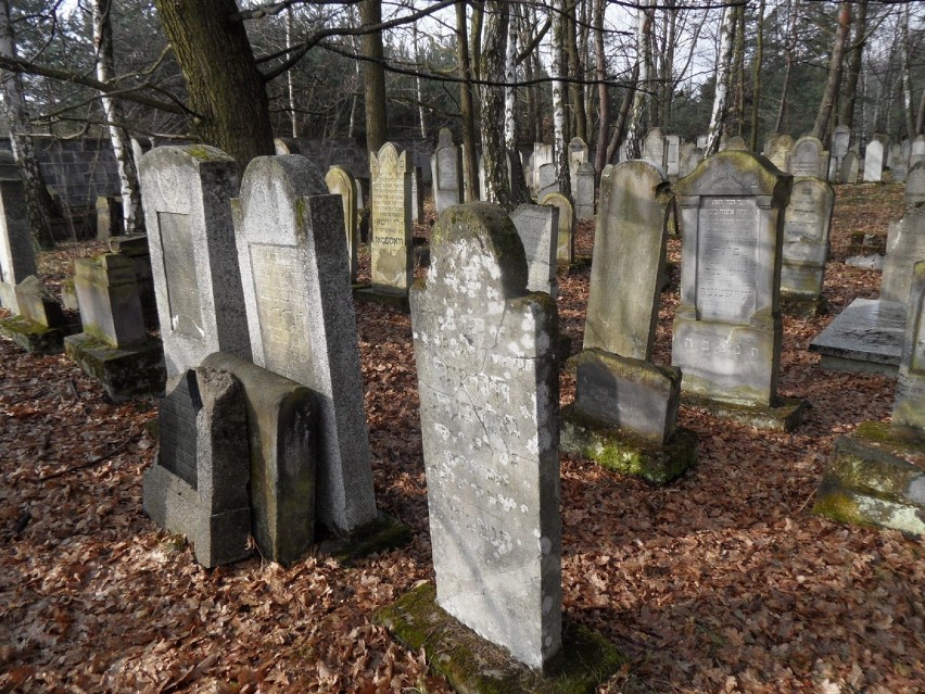 Cmentarz żydowski Jaworzno. Jak wygląda dziś? [ZDJĘCIA]