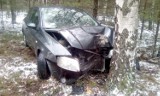 Fiat roztrzaskał się o drzewo koło Tarnowa Jeziernego. Dwie osoby ranne [ZDJĘCIA]