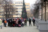 Trwa montaż świątecznej iluminacji w Legnicy. Na jutro zaplanowano jej odpalenie, zdjęcia