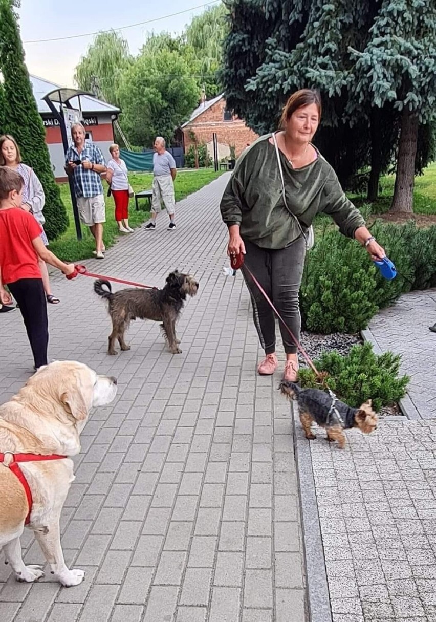 IV Parada Psów w Kazimierzy Wielkiej z okazji święta patrona miasta - świętego Rocha. Zobacz zdjęcia