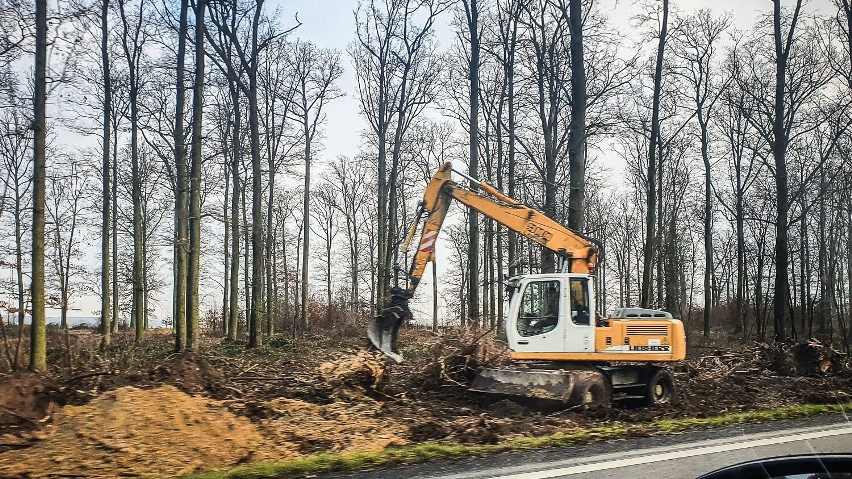 Znika 150  drzew przy DK12 przy okazji przebudowy drogi  między Kąkolewem a Garzynem 