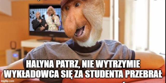 Wykładowcy udają studentów. Zobacz memy!