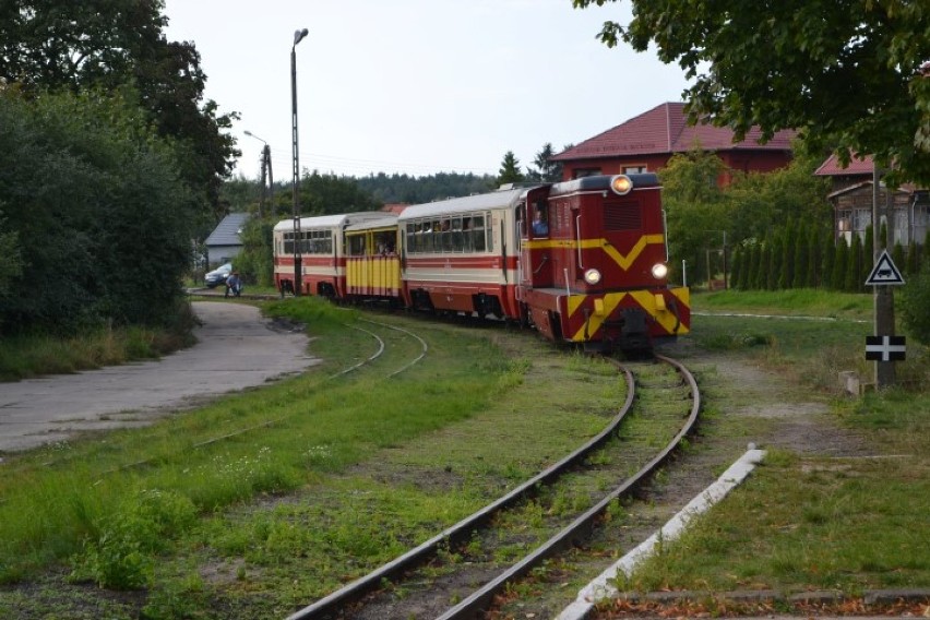 Nowy Dwór Gd. 2 września żuławska kolej wąskotorowa wyruszy...