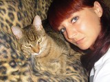 Kraków: kot Katarzyny Gizy trafił do adopcji. Właścicielka nic o tym nie wiedziała