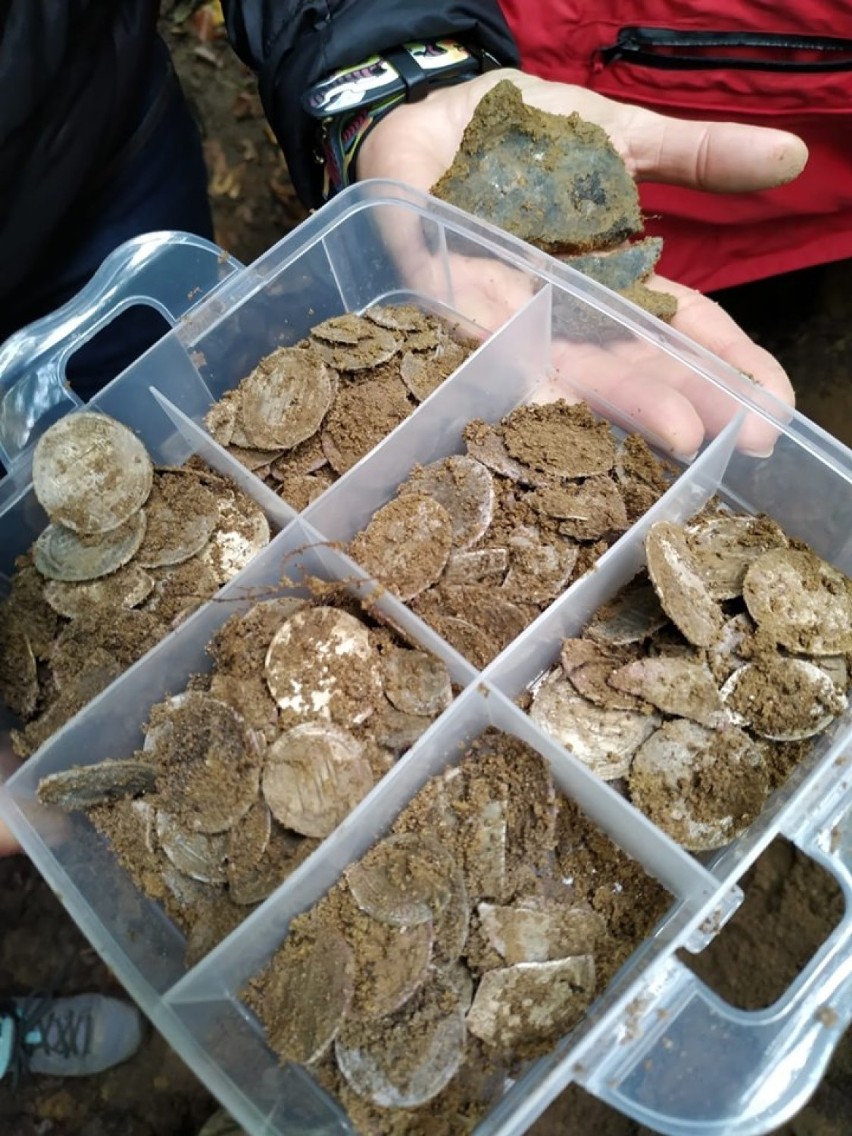 Grzybiarz znalazł arabskie monety z VII wieku. Trafiły do lęborskiego muzeum [ZDJĘCIA] 