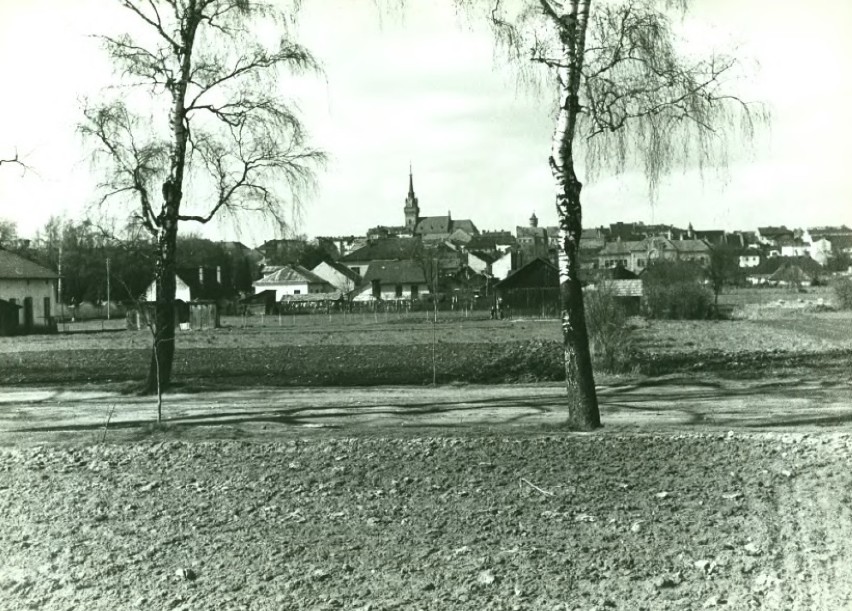 Widok ogólny na Tarnów i katedrę