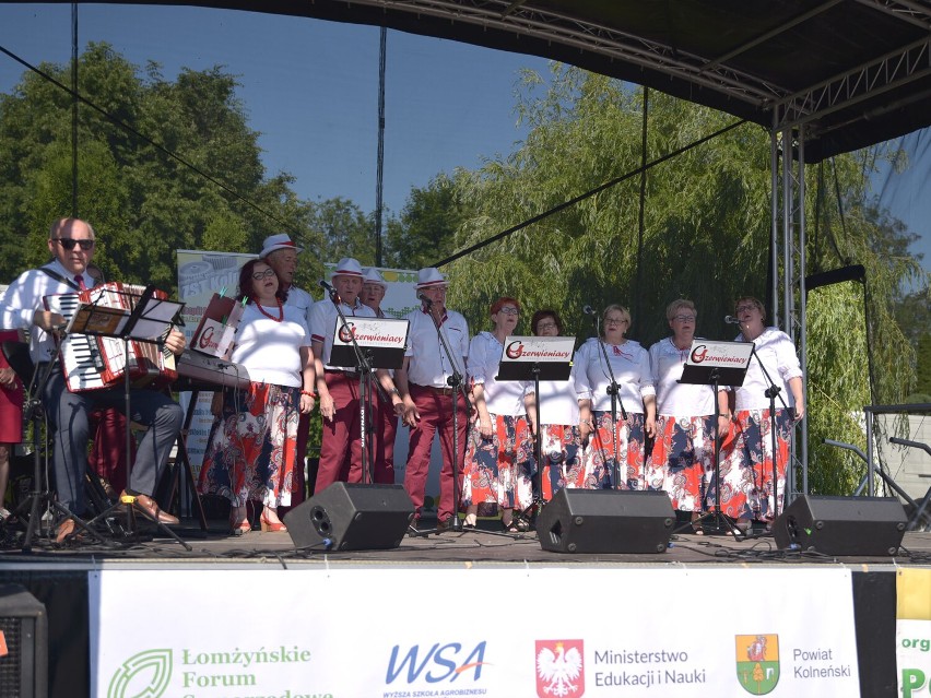 Nauka przez zabawę w Kolnie. Ruszył cykl 24 pikników w regionie  [zdjęcia]