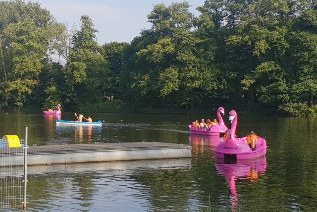 Lucyfer z południa Europy nie nadszedł nad Łódź, ale jej mieszkańcy i tak szukali w weekend, 14-15 sierpnia, ochłody. Jego hitem okazały się flamingi z Młynka, czyli trzy wyjątkowe rowery wodne, nieustannie wypożyczane w przystani MOSiR. Nie brakowało innych atrakcji. W niedzielę, w ramach Letniska na Księży Młynie, dwa 10-osobowe zespoły stoczyły kulinarną bitwę, której tematem były owoce morza i wołowina.

>>> Czytaj dalej przy kolejnej ilustracji >>>