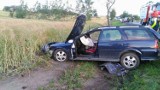 Wypadek w Subkowach. Kierowca uciekł z miejsca zdarzenia [ZOBACZ ZDJĘCIA]