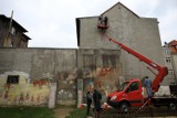 Powstaje potężny mural z portretami zwierząt wałbrzyszan! Zobaczcie pierwszych kandydatów! [CZ.I]