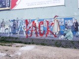 Piękny mural w Krakowie zniszczony przez idiotę. Jest akcja w sieci