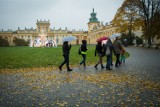 Darmowy listopad w rezydencjach królewskich, Warszawa. Gdzie warto iść? Co zwiedzić? [PRZEGLĄD]
