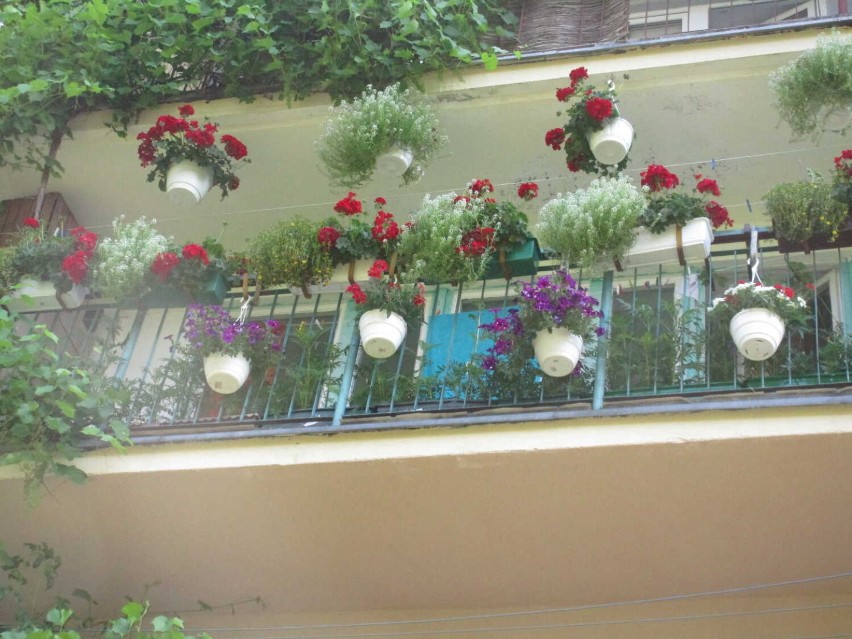 Najpiękniejsze ogrody i balkony w gminie Ustrzyki Dolne. Zobacz, jakie aranżacje  doceniono (ZDJĘCIA)