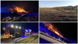 Plaga pożarów w powiecie rypińskim. W Dylewie, Nadrożu i Pręczkach płonęły trawy [zdjęcia]