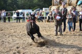 Sadów: X Polowa zaprzęgowa próba dzielności klaczy śląskich. Można było zobaczyć ponad 30 koni [ZDJĘCIA]