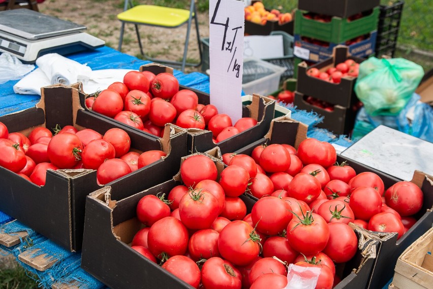Ceny warzyw i owoców na targu w Trzebnicy w sierpniu 2022