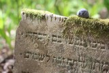 Żydowski i ewangelicki. Te cmentarze skrywają niejedną tajemnicę... 