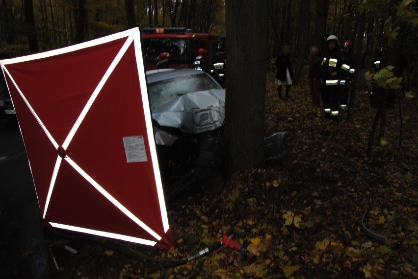 Wypadek w Prabutach. 19-latek uderzył w drzewo