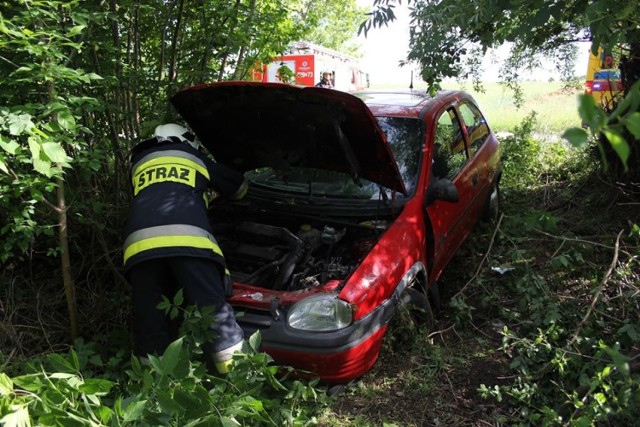 Zieleń: kierowca wypadł z drogi prosto w krzaki