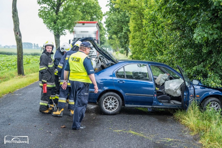 Samochód uderzył w drzewo. Jedna osoba w szpitalu [ZDJĘCIA]                           