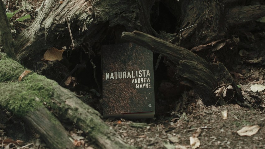 Marcin Dorociński podrzucił książkę w Gdańsku. Wybierzesz się do lasu, żeby ją odnaleźć? Aktor promuje czytelnictwo i najnowszy thriller 