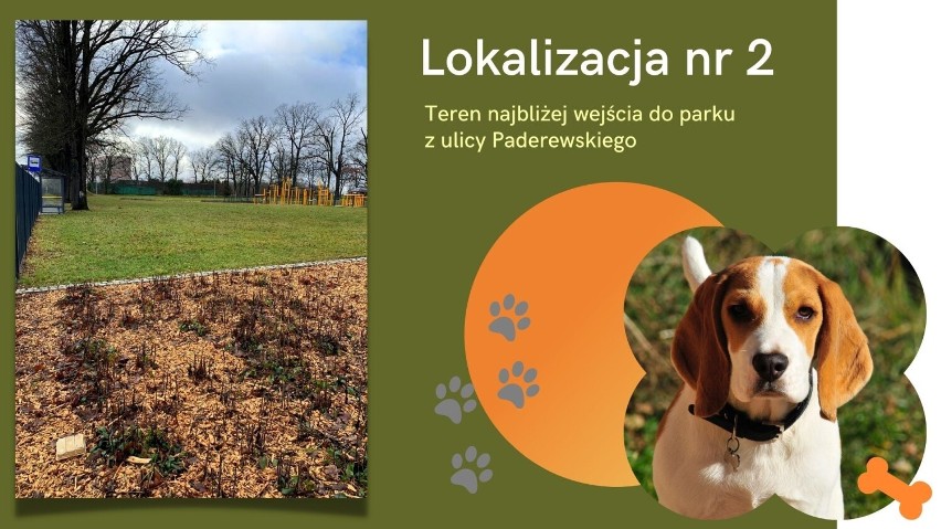 Wybieg dla psów ma powstać na terenie parku przy ul....