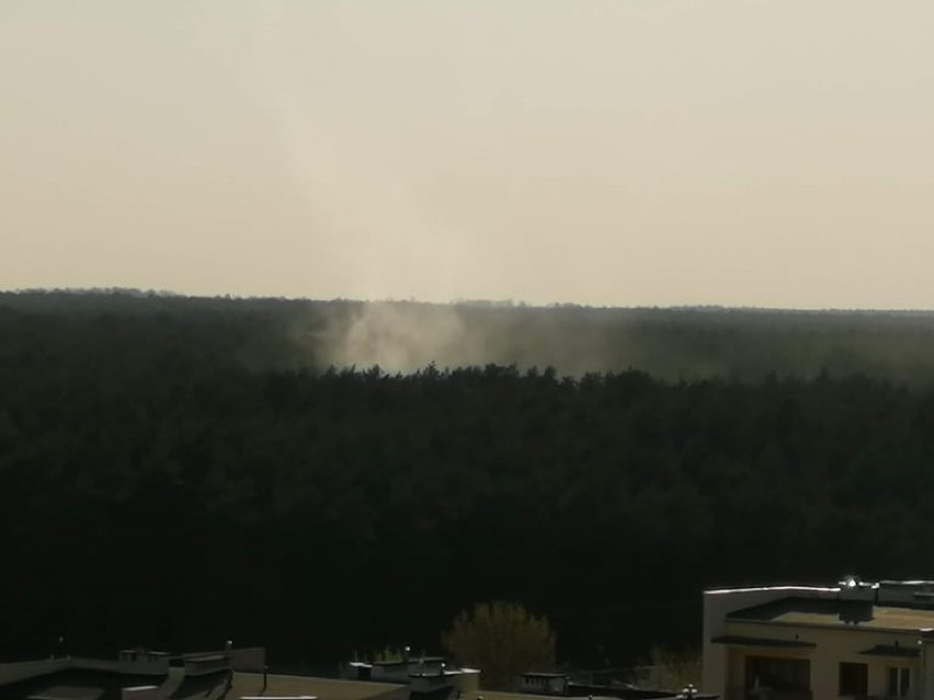 Pożar lasu na Zazamczu we Włocławku. Helikopter bierze udział w akcji [zdjęcia, wideo]