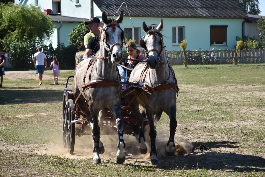 Święto Konia w Jabłonnie. Miłośnicy koni spotkali się już po...