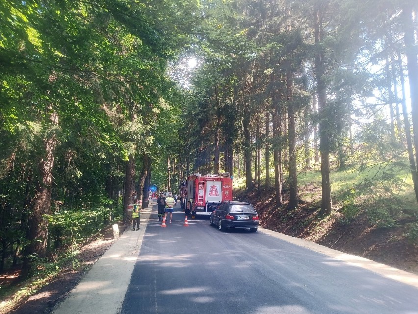 Wypadek na drodze Parku Narodowym Gór Stołowych