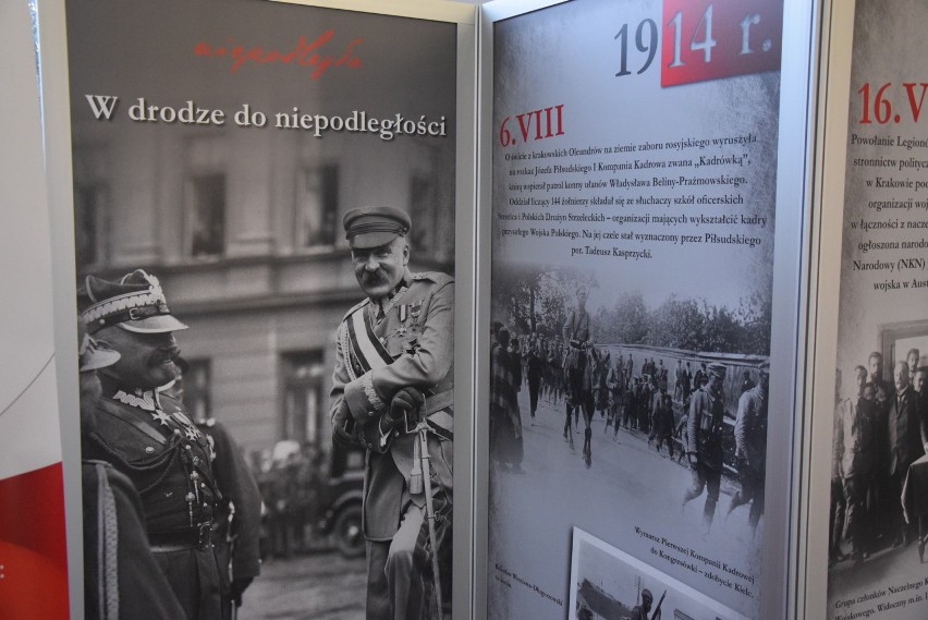 - Krzewienie patriotyzmu i propagowanie naszej historii to...