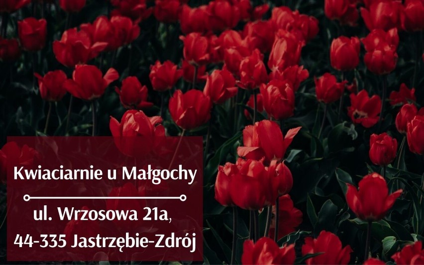 Najlepsze kwiaciarnie w Jastrzębiu-Zdroju. Naciśnij strzałkę...