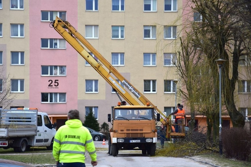 Mieszkańcy Kielc wszczęli alarm na widok ekipy przycinającej gałęzie na Słonecznym Wzgórzu