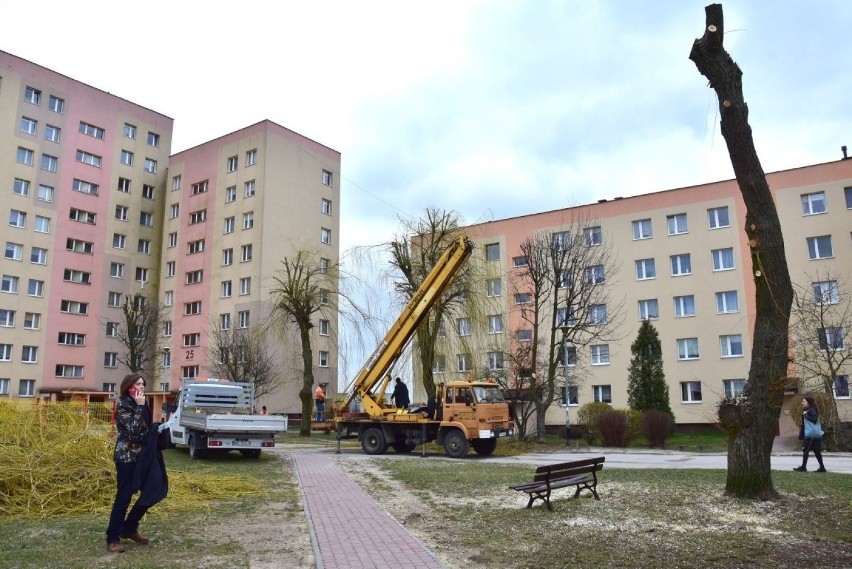 Mieszkańcy Kielc wszczęli alarm na widok ekipy przycinającej gałęzie na Słonecznym Wzgórzu