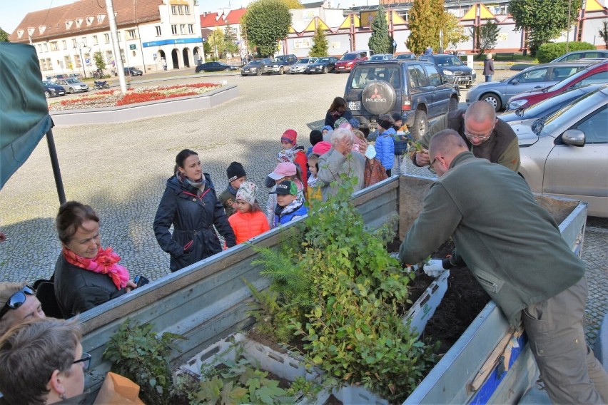 Drzewka wydawano na placu kard. Wyszyńskiego i na terenie...