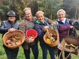 Powiat Gniezno. Odbyło się wielkie grzybobranie! Ile grzybów zebrano?