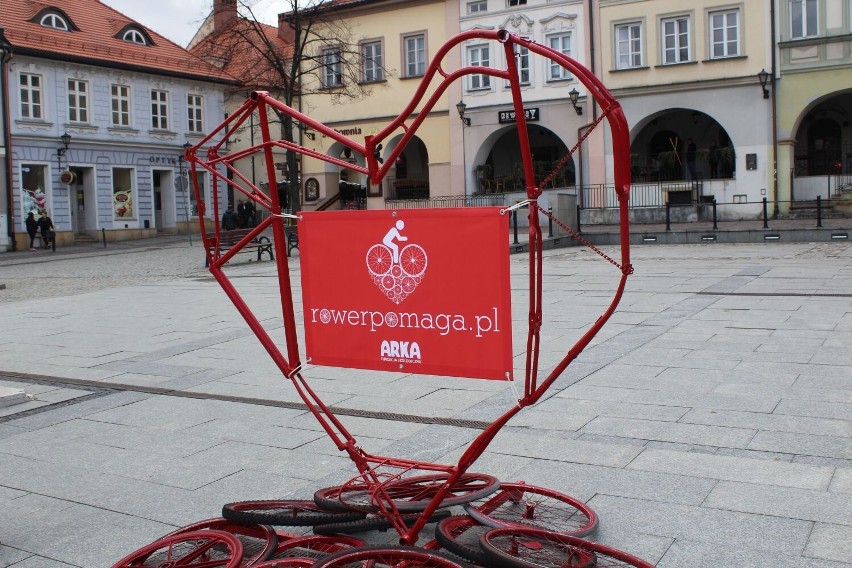 Bielsko-Biała: Ruszyła akcja Rower Pomaga zwierzętom. Dołącz do akcji i zamień rowerowe kilometry na jedzenie dla zwierząt!