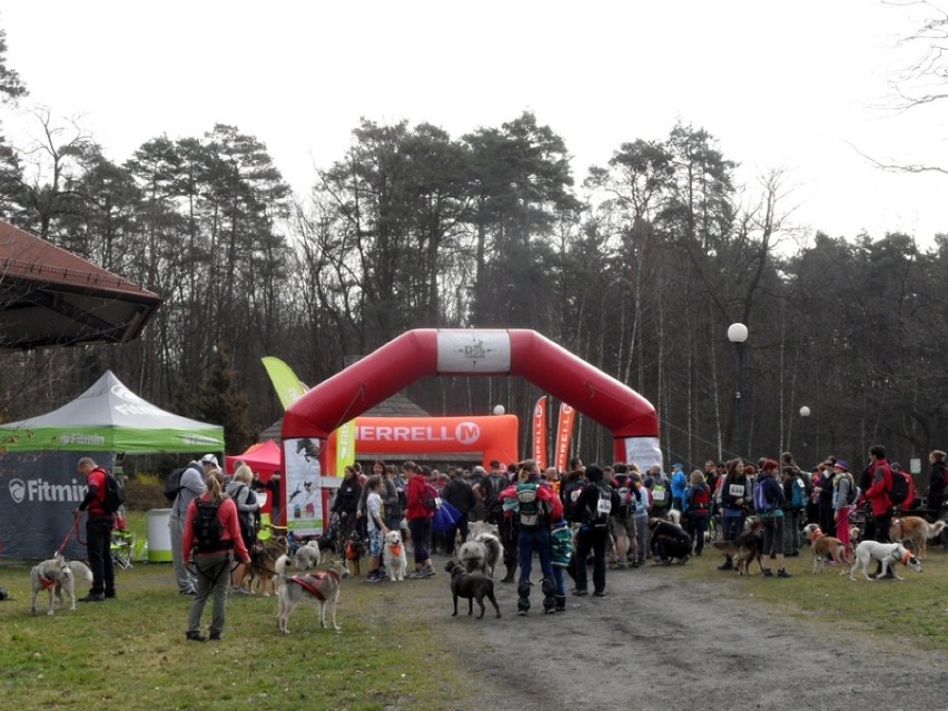 Lubliniec: Puchar Polski w Dogtrekkingu 2015