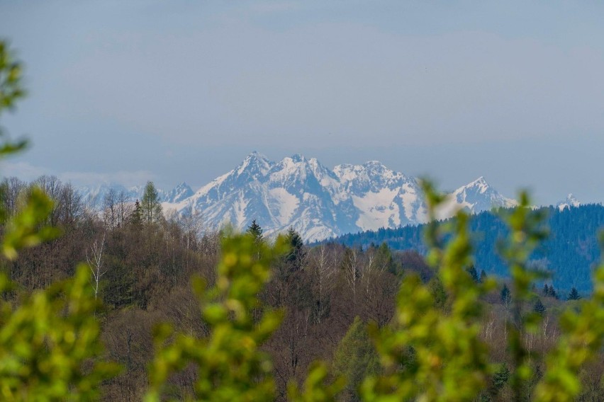 Tatry widziane z Muszyny i wiosenny pejzaż u ich podnóża