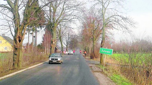 Żuławy. 500 drzew rosnących przyy trasie Stróża- Mikoszewo zostanie wyciętych 