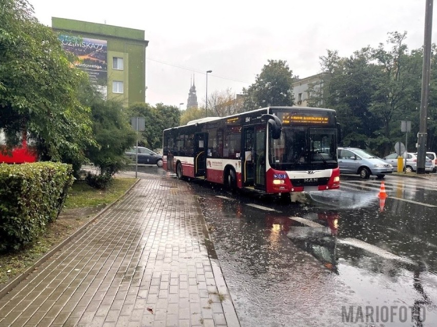 Opole. Autobus MZK potrącił na przejściu dla pieszych kilkuletnią dziewczynkę