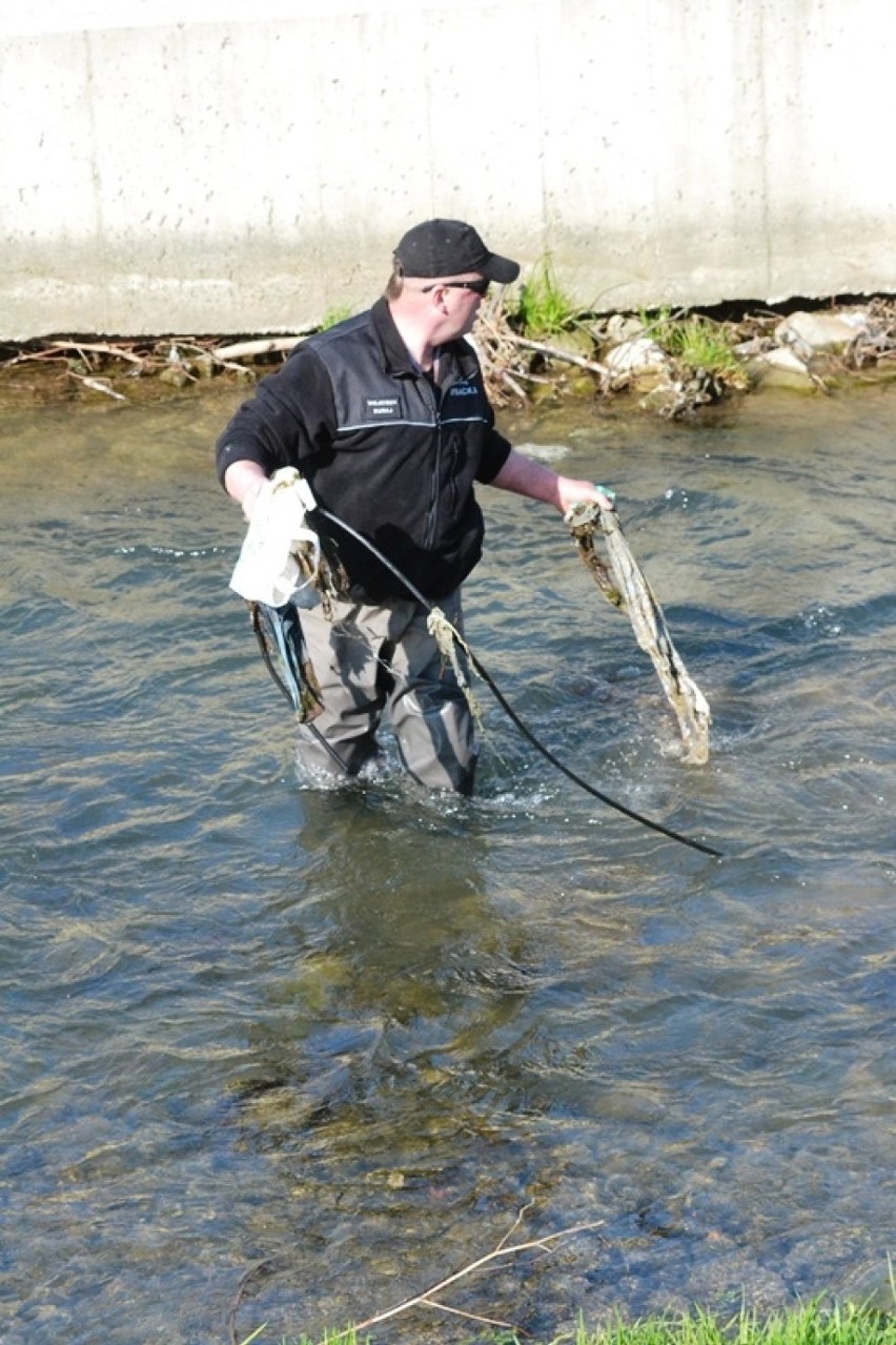 Sprzątanie rzeki Białej w Bielsku-Białej