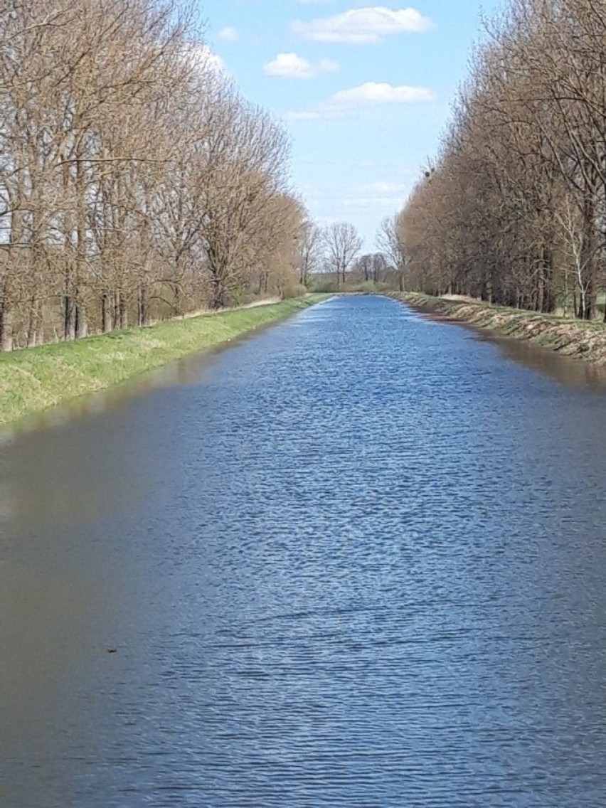 Drelów: w kanale Wieprz-Krzna znów płynie woda