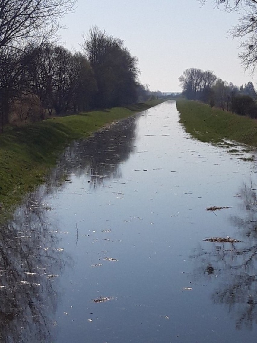 Drelów: w kanale Wieprz-Krzna znów płynie woda