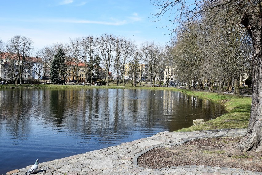 Park Wiosny Ludów to atrakcyjne miejsce do spacerów