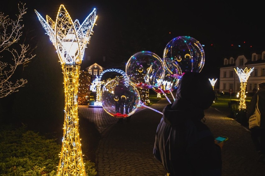 Iluminacje w Parku Oliwskim w 2019 r.
