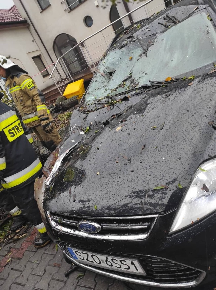 Rzeczoznawca ocenił, że po upadku drzewa na samochód, auto...