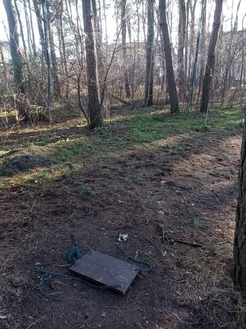 Wandale zniszczyli polanę zrewitalizowaną przez mieszkańców Osiedla Leśnego w Golubiu-Dobrzyniu