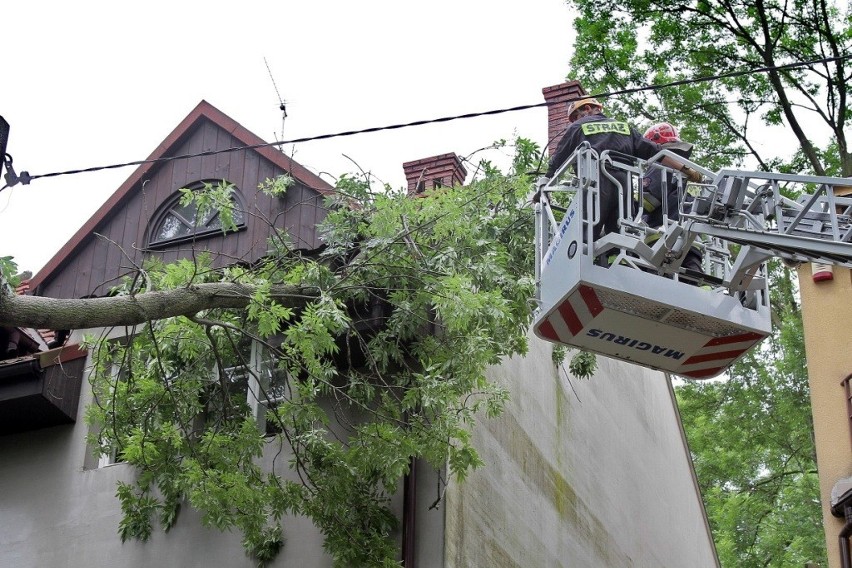 Kraków: drzewo przewróciło się na dach kamienicy przy ul. Malczewskiego [ZDJĘCIA]