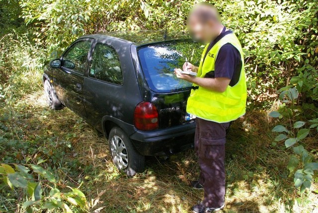 W lesie można się natknąć na najróżniejsze gatunki roślin i zwierząt. Można się również natknąć na dziuplę - samochodową. Policja w Lesznie znalazła ukrywane w lesie kradzione pojazdy. 

Zobacz więcej: Policja w Lesznie: Złodzieje ukrywali kradzione auta w lesie [ZDJĘCIA]